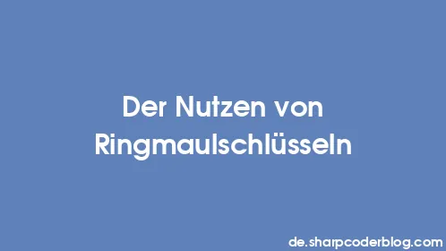 Der Nutzen von Ringmaulschlüsseln - Thumbnail